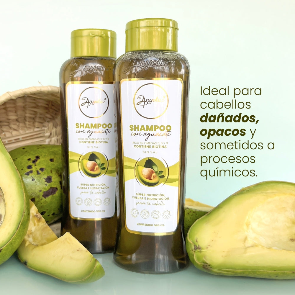 Shampoo Aguacate