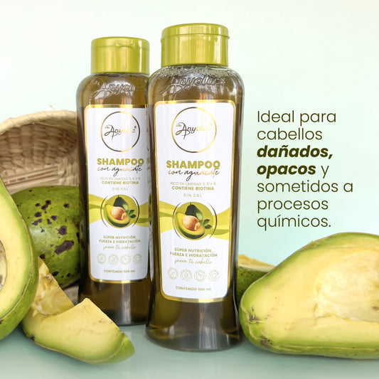 Shampoo Aguacate