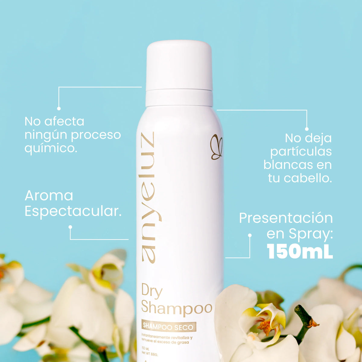Dry Shampoo